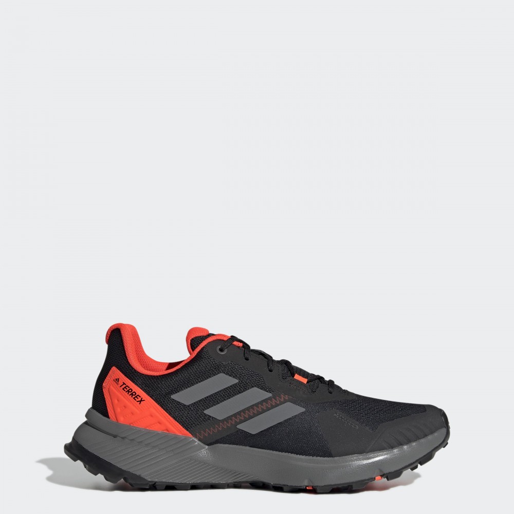 Чоловічі кросівки Adidas Terrex Soulstride FY9214_image_1