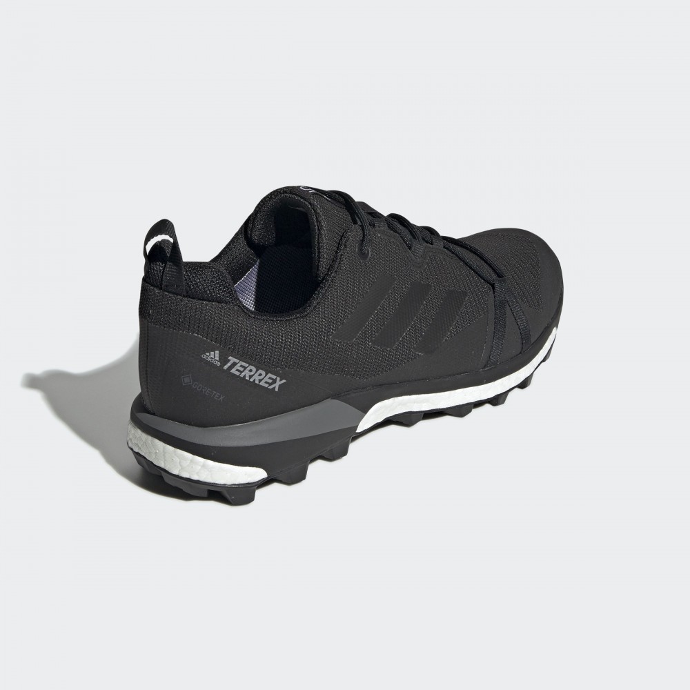 Чоловічі Кросівки Adidas Terrex Skychaser LT GTX F36099_image_4