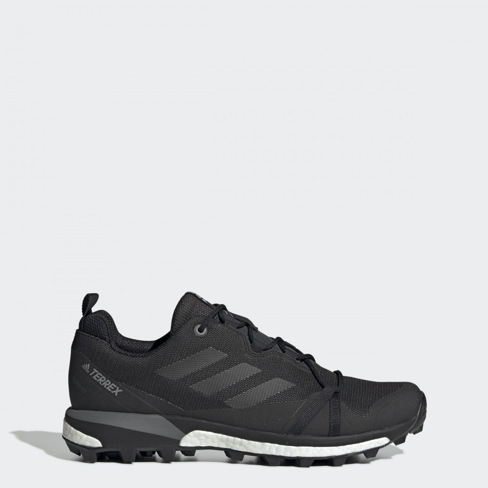 Чоловічі Кросівки Adidas Terrex Skychaser LT GTX F36099_image_1