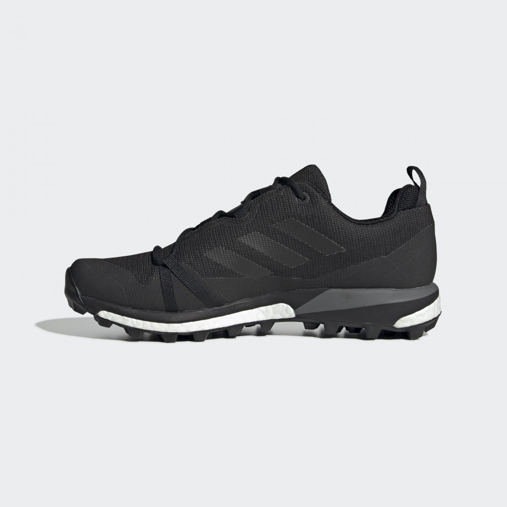 Чоловічі Кросівки Adidas Terrex Skychaser LT GTX F36099_image_2