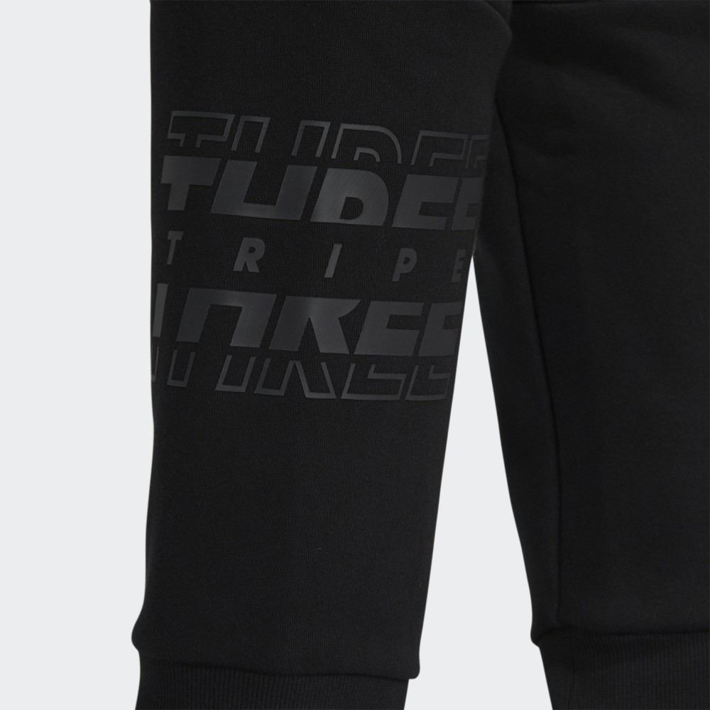 Брюки adidas Sportswear GT6368_image_4