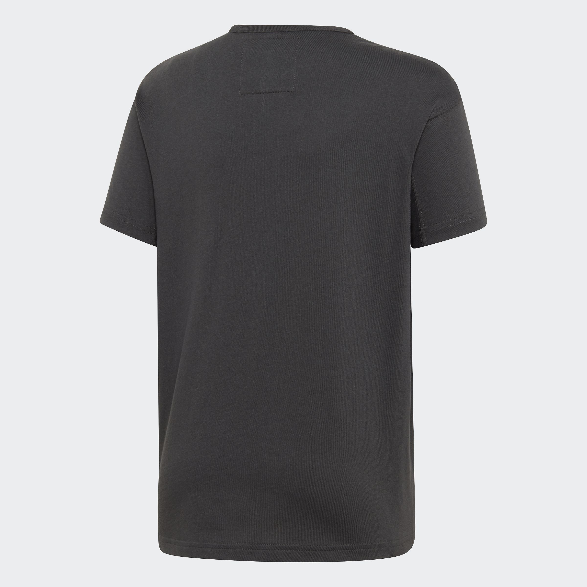 Футболка Adidas Originals Kaval DV2372_image_2