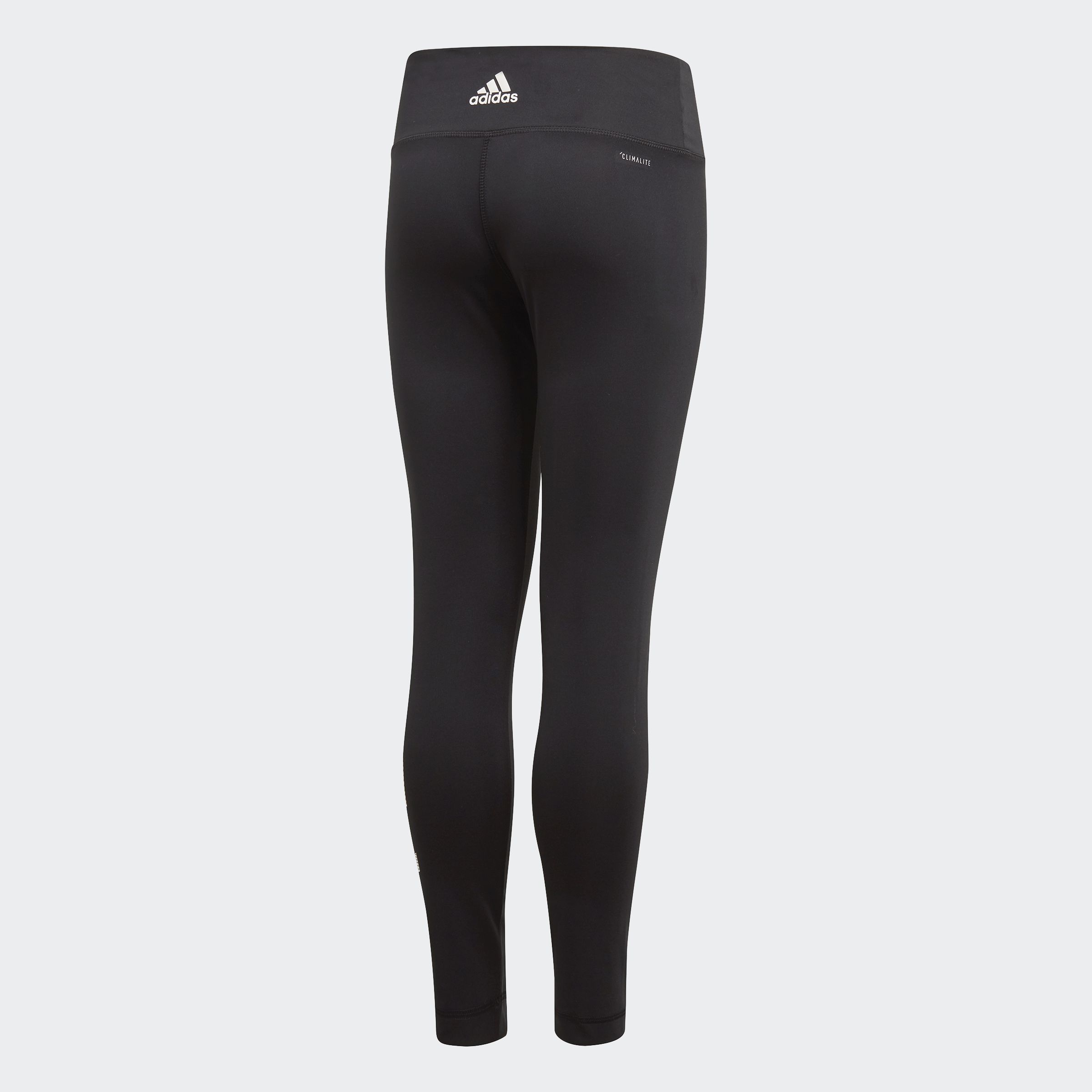 Леггисы Adidas Essentials Kids DV2747_image_2