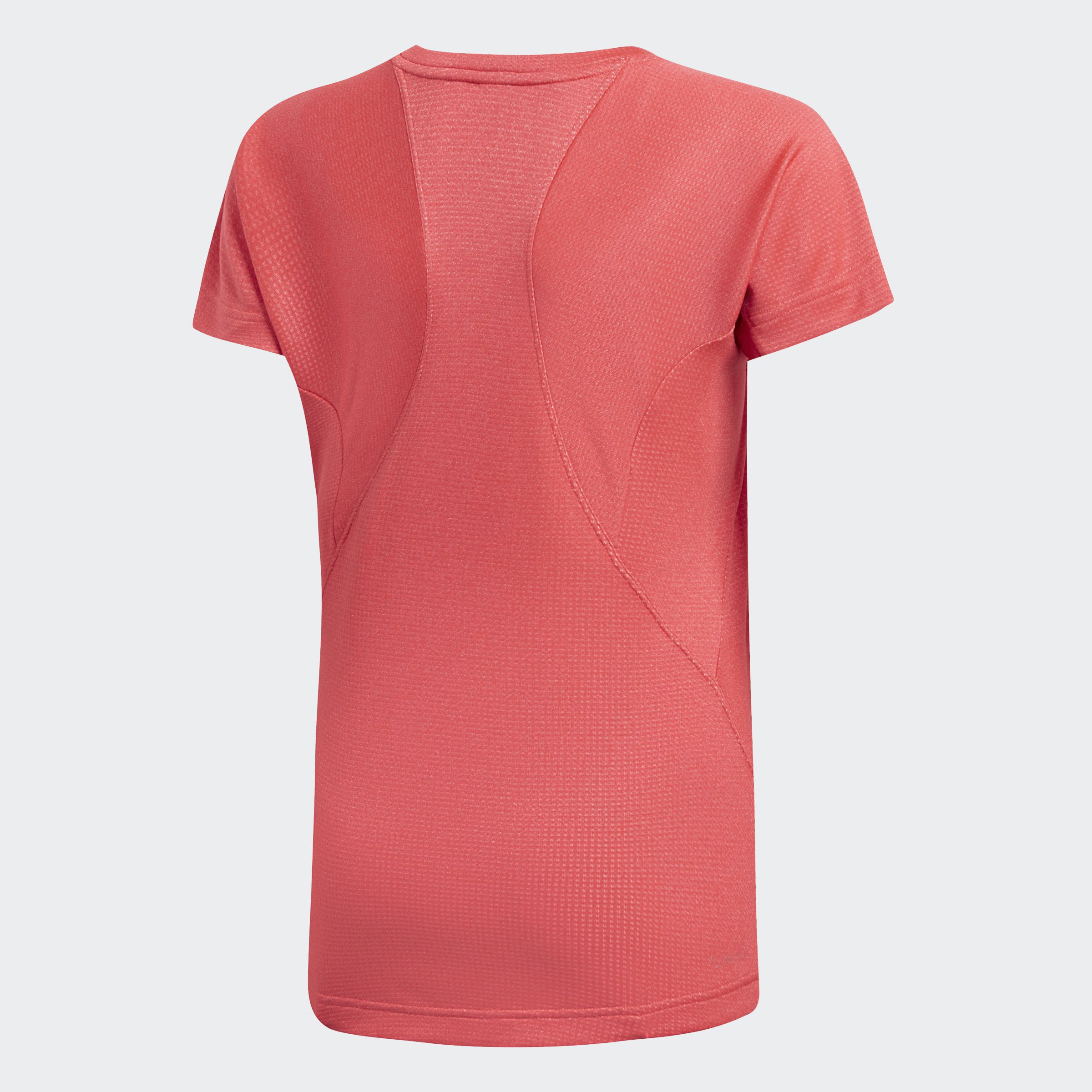 Футболка Adidas ' Training Climachill DV2798_image_2