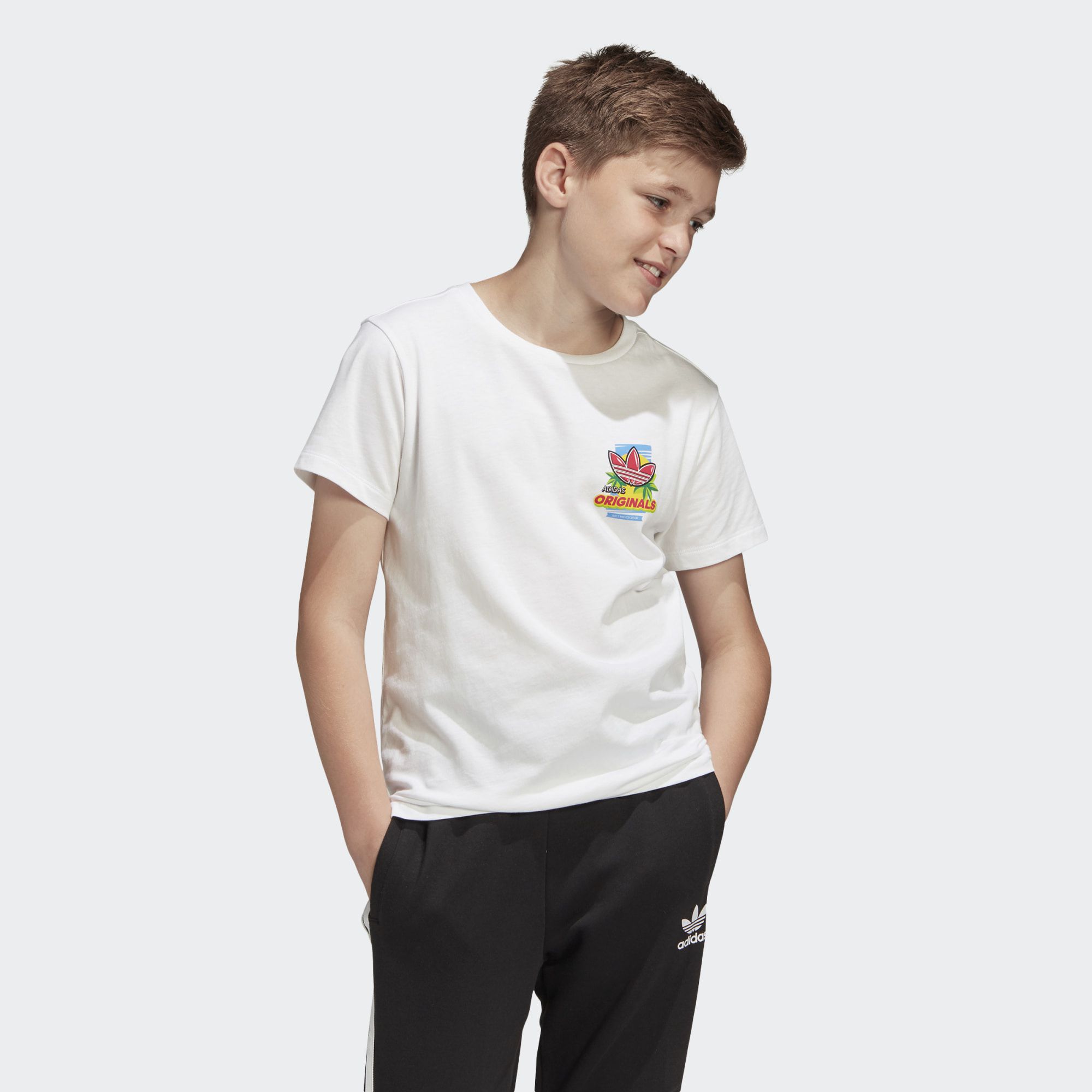 Футболка Adidas Graphic ED7838_image_1