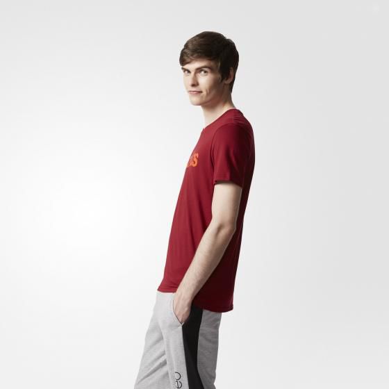 Мужская футболка Adidas Ce Ss Tee CD3179_image_2