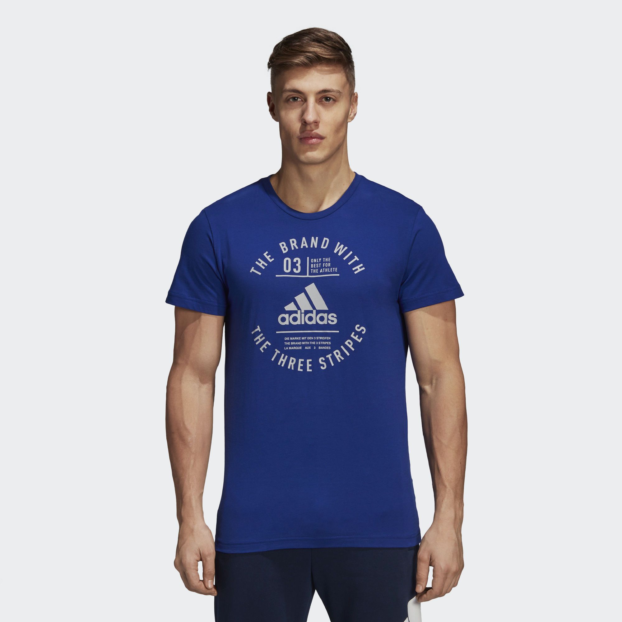 Мужская футболка Adidas Emblem Tee DI0285_image_1