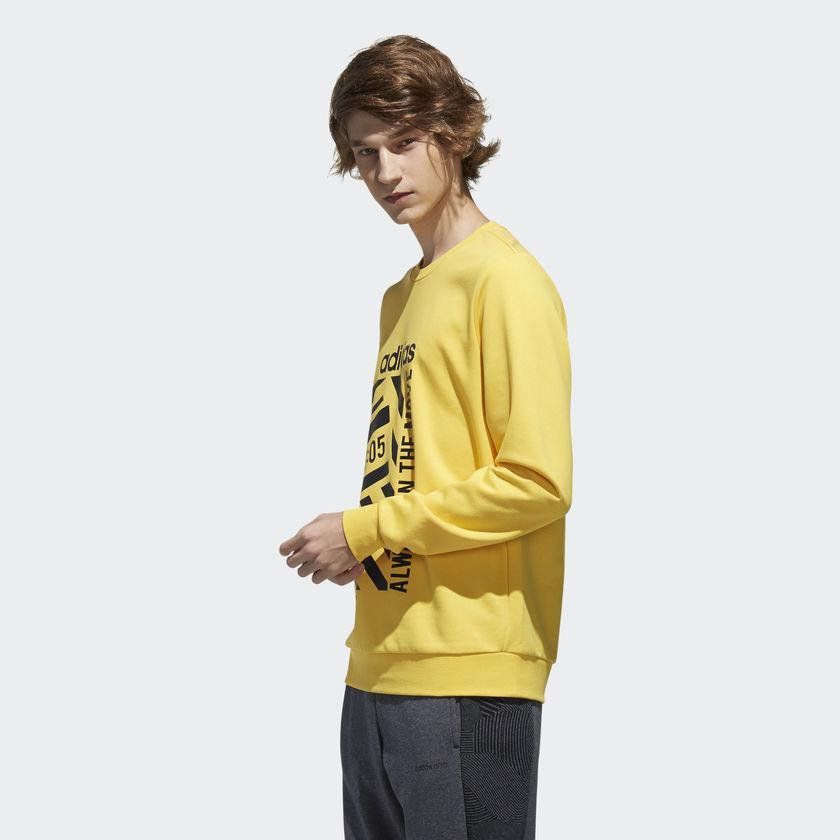 Толстовка Adidas M Fav Sweat DW8183_image_2