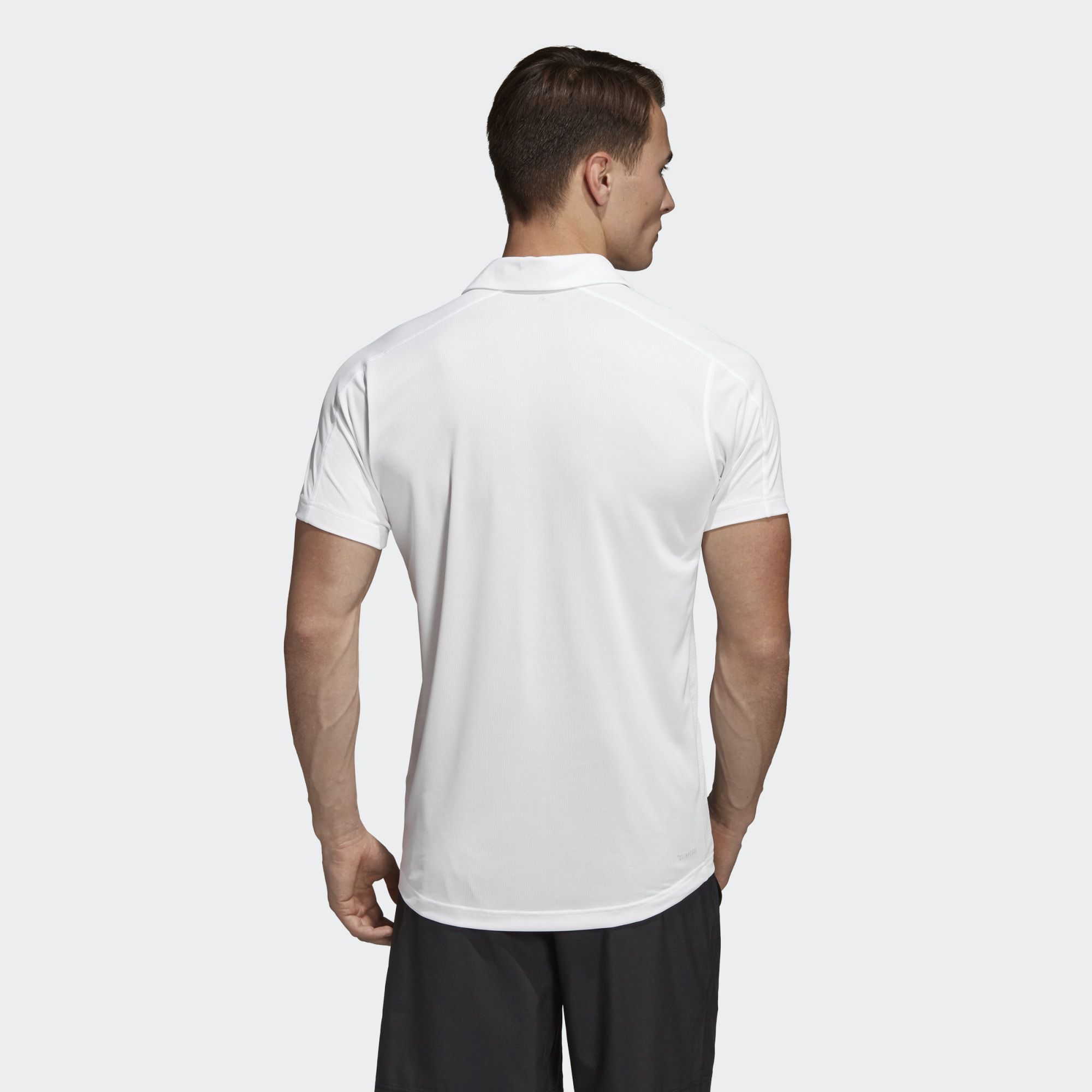Футболка поло Adidas D2M Ccool Polo DT3049_image_2