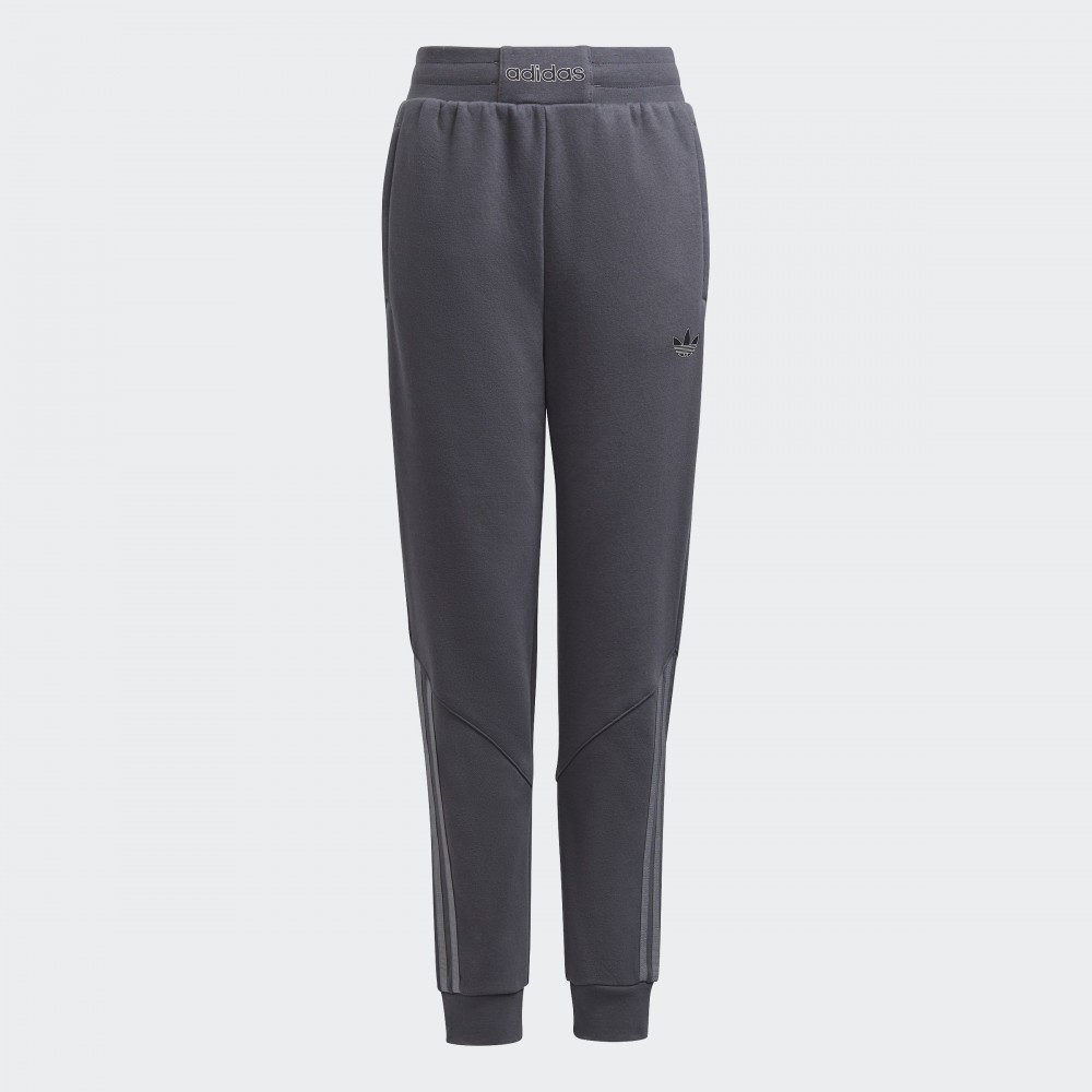 Брюки adidas SPRT H31215_image_1