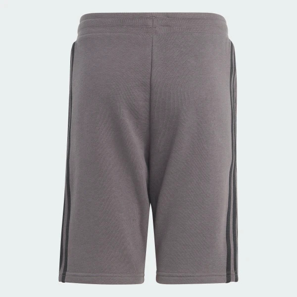 Шорты Adidas Adicolor IJ9731_image_7