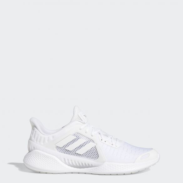 Чоловічі кросівки Adidas Climacool Vent EG1129_image_1