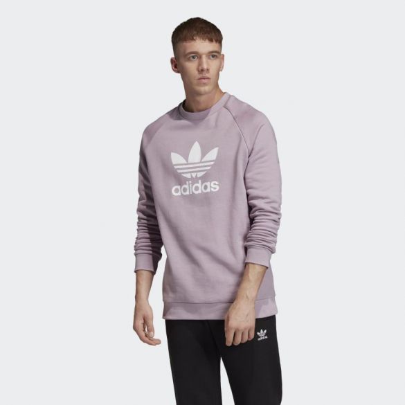 Чоловіча толстовка Adidas Trefoil Warm-Up ED5946_image_1