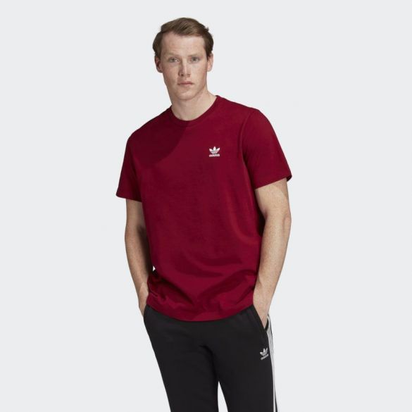 Мужская футболка Adidas Essential FQ3341_image_1