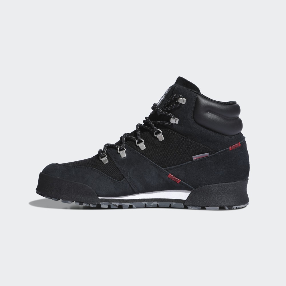 Мужские ботинки Adidas Terrex Snowpitch FV7957_image_2
