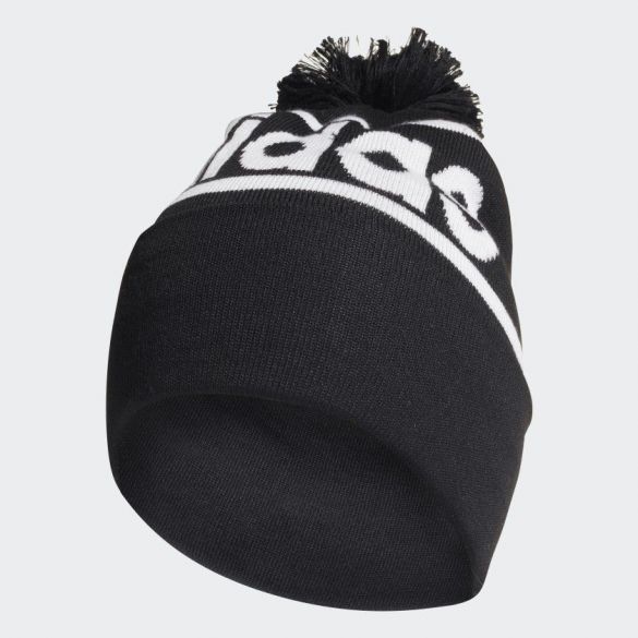 Шапка Adidas Logo Pom Woolie ED0239_image_1