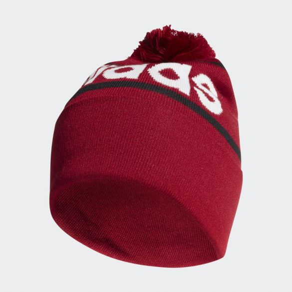 Шапка Adidas Logo Pom Woolie ED0241_image_1