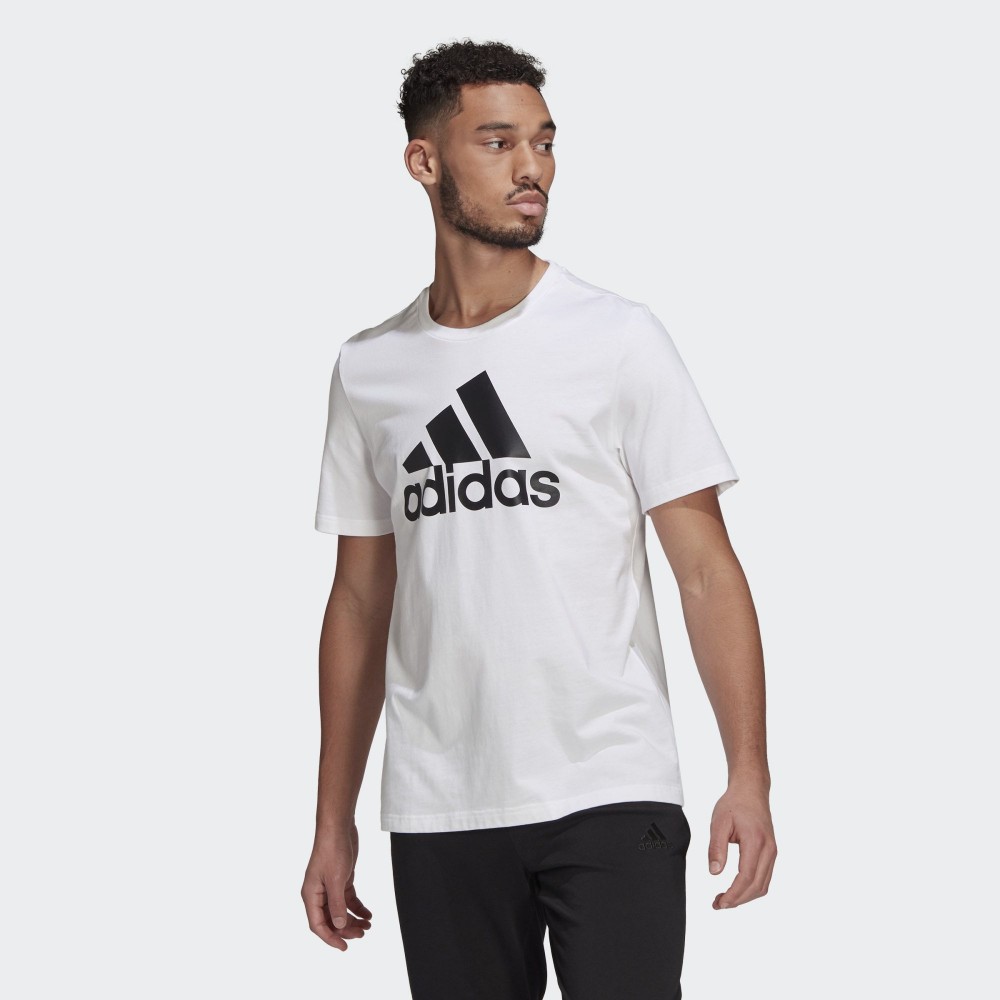 Футболка Adidas Essentials Big Logo GK9121_image_1