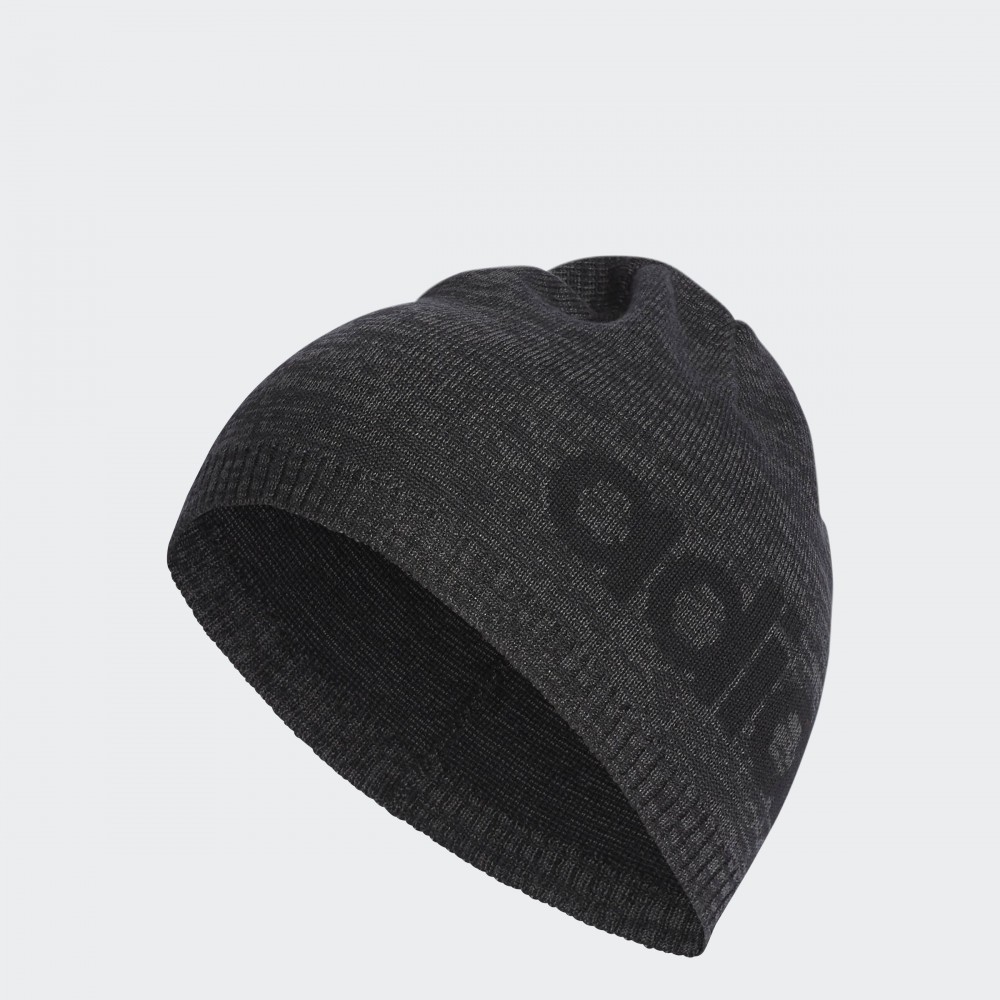 Чоловіча шапка Adidas Daily Beanie Lt DN8445_image_1