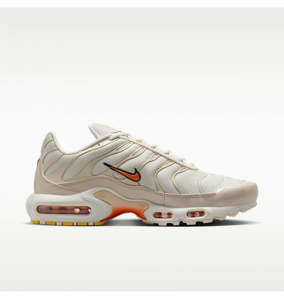 Кроссовки мужские Nike Air Max Plus DM0032-019_image_1
