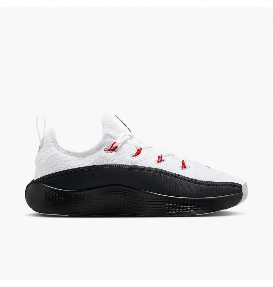 Кроссовки мужские Nike Lebron Tr 1 FJ6151-101_image_1