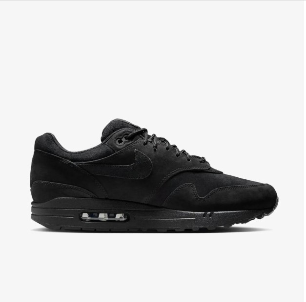 Кроссовки мужские Nike Air Max 1 Prm HV8065-001_image_1