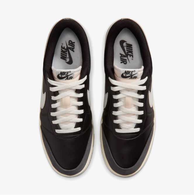 Чоловічі кросівки Air Jordan Skyline Low Le IQ6425-001_image_2