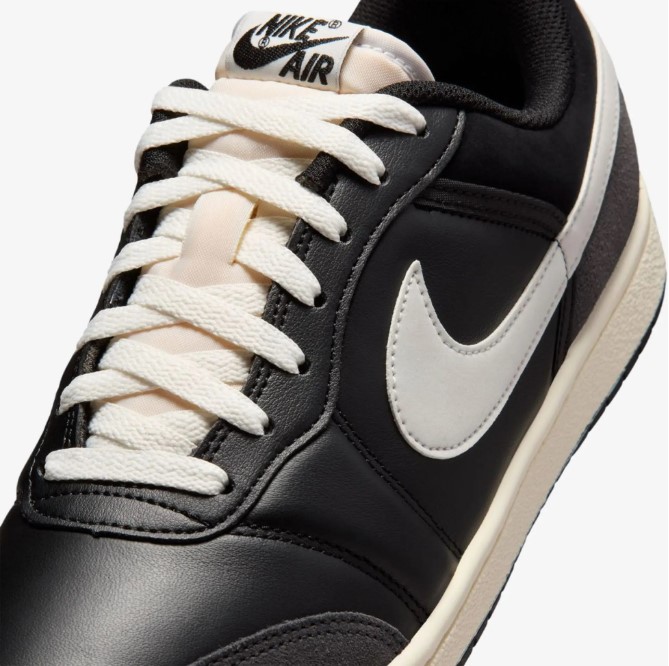 Чоловічі кросівки Air Jordan Skyline Low Le IQ6425-001_image_4