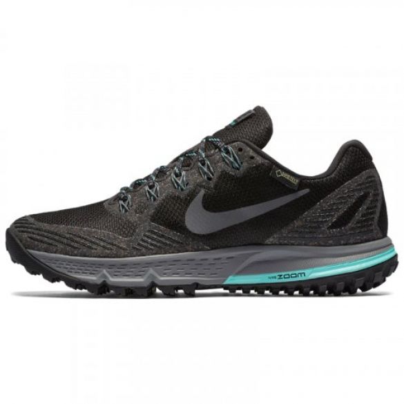 Жіночі кросівки Nike Air Zoom Wildhorse 3 GTX 805570-001_image_1