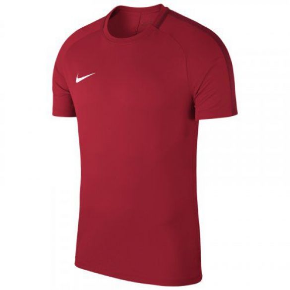 Футболка Nike M Nk Dry Acdmy18 Top Ss 893693-657_image_1