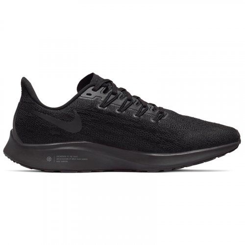 Жіночі кросівки Nike Air Zoom Pegasus 36 AQ2210-006_image_1
