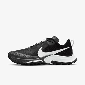 Жіночі кросівки Nike Air Zoom Terra Kiger 7 CW6066-002_image_1