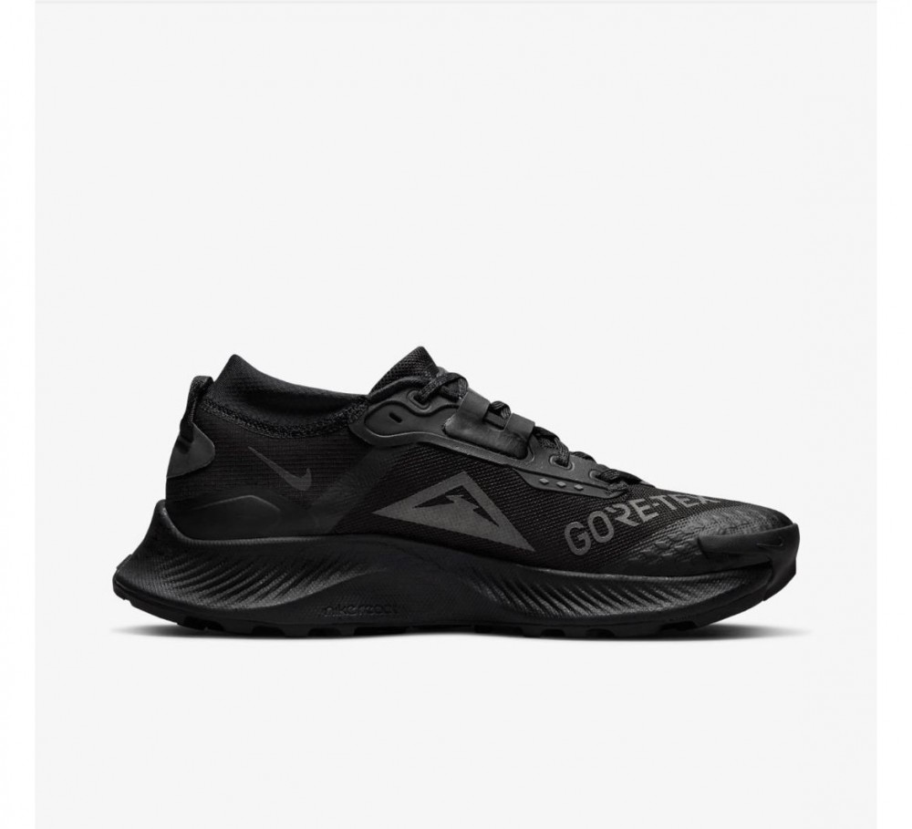 Кросівки для бігу Nike Pegasus Trail 3 Gore Tex Black DC8794-001_image_1