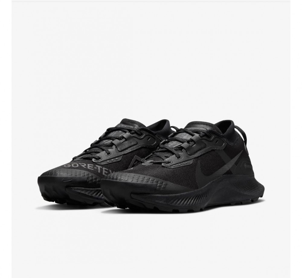 Кросівки для бігу Nike Pegasus Trail 3 Gore Tex Black DC8794-001_image_5