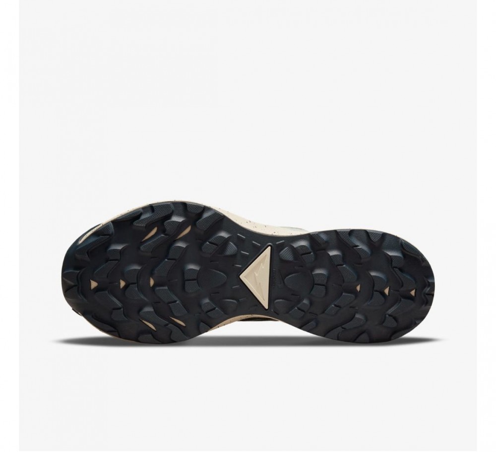 Кросівки для бігу Nike Pegasus Trail 3 Gore Tex DC8794-003_image_9