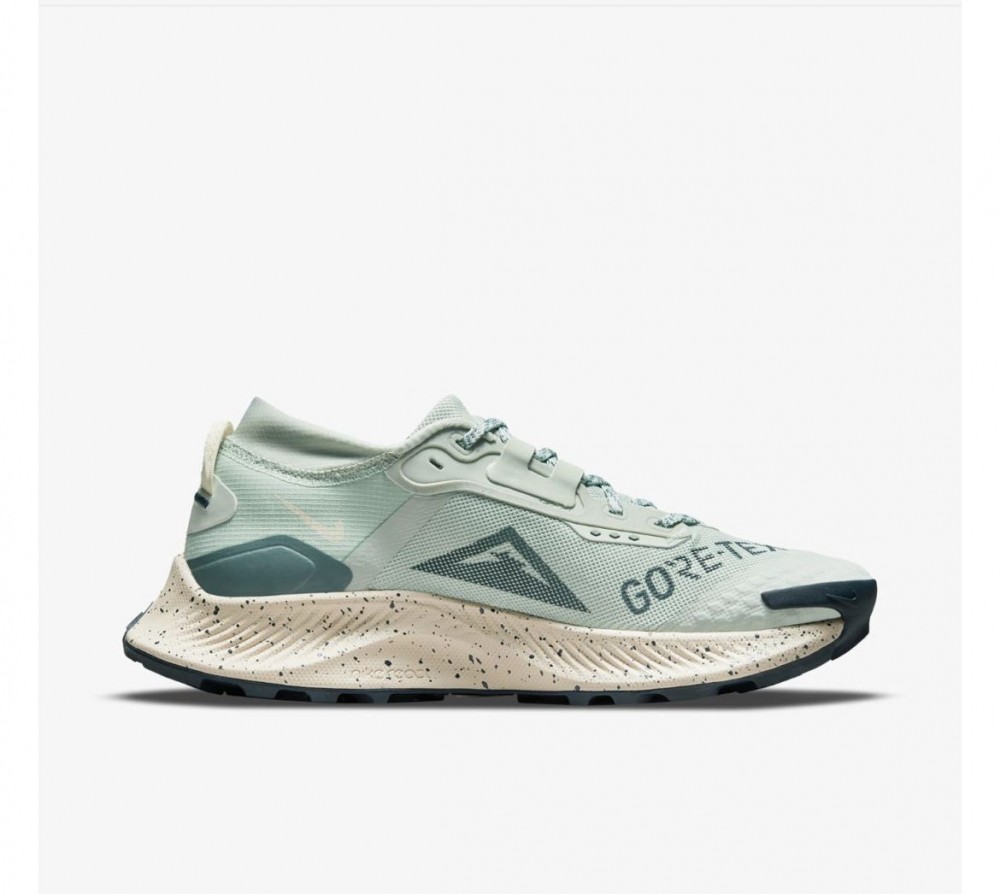 Кросівки для бігу Nike Pegasus Trail 3 Gore Tex DC8794-003_image_1