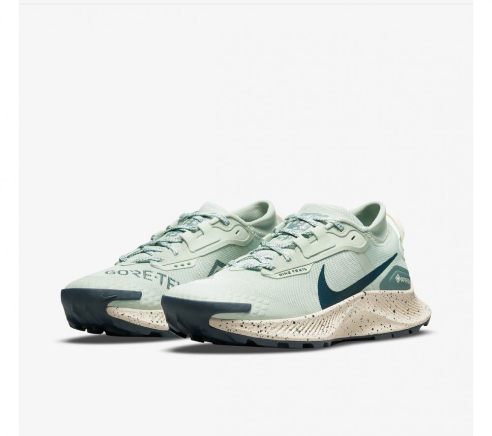 Кросівки для бігу Nike Pegasus Trail 3 Gore Tex DC8794-003_image_4