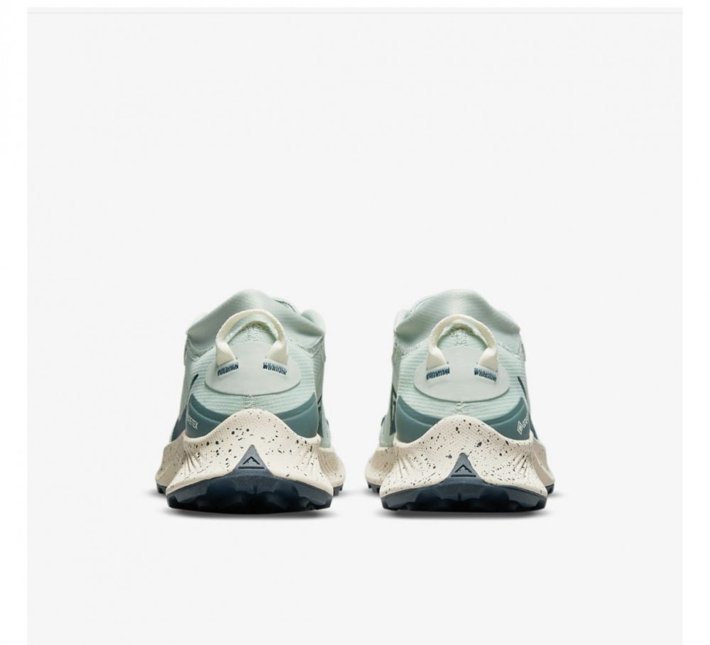 Кросівки для бігу Nike Pegasus Trail 3 Gore Tex DC8794-003_image_3