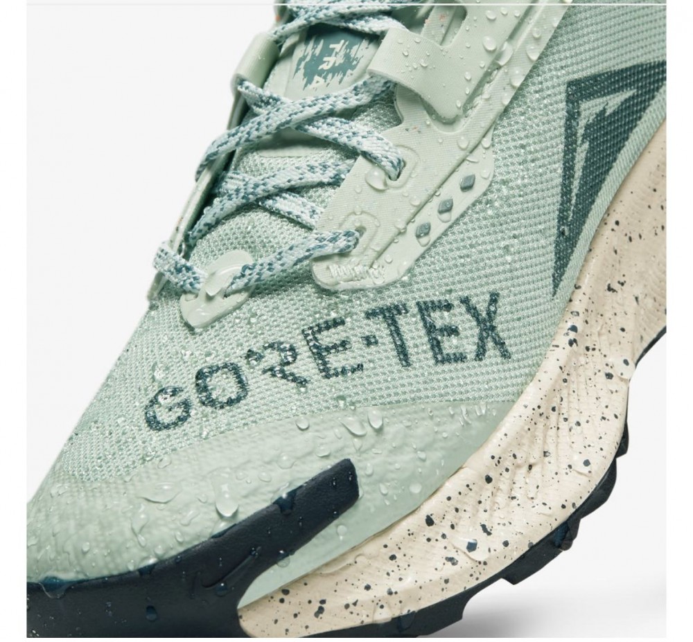 Кросівки для бігу Nike Pegasus Trail 3 Gore Tex DC8794-003_image_5