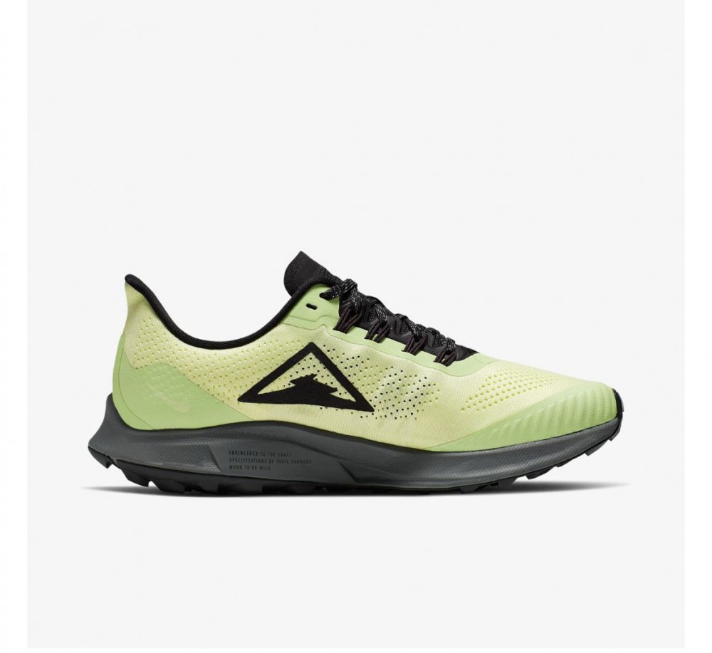 Кросівки NIKE WMNS AIR ZOOM PEGASUS 36 TRAIL AR5676-300_image_1