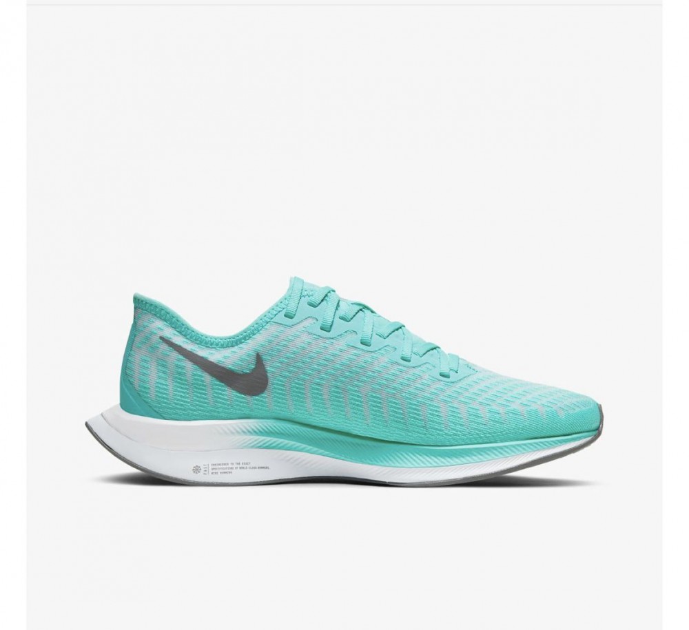 Кросівки NIKE WMNS ZOOM PEGASUS TURBO AT8242-302_image_1
