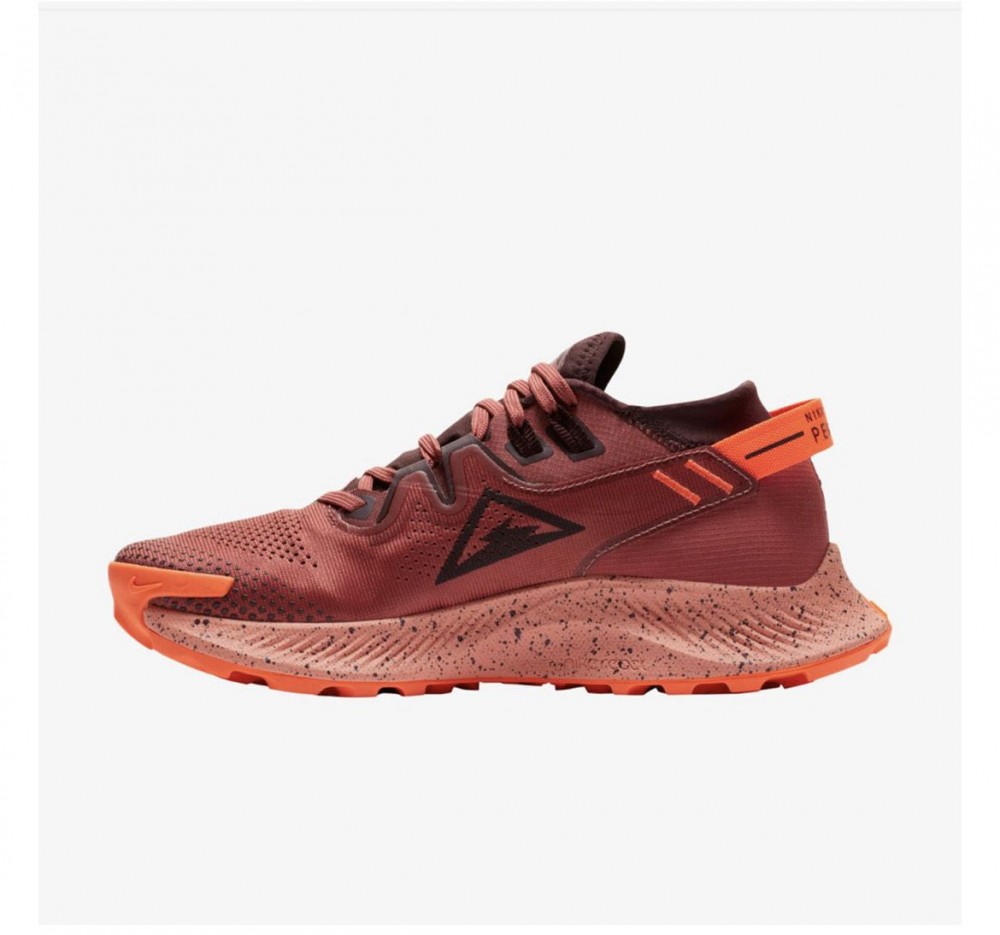 Жіночі кросівки Nike Pegasus Trail 2 Black CK4309-601_image_2