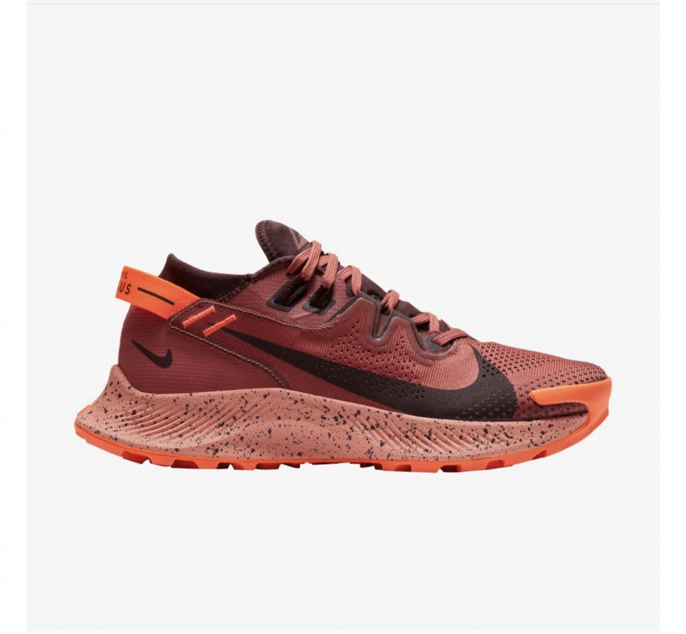 Жіночі кросівки Nike Pegasus Trail 2 Black CK4309-601_image_1