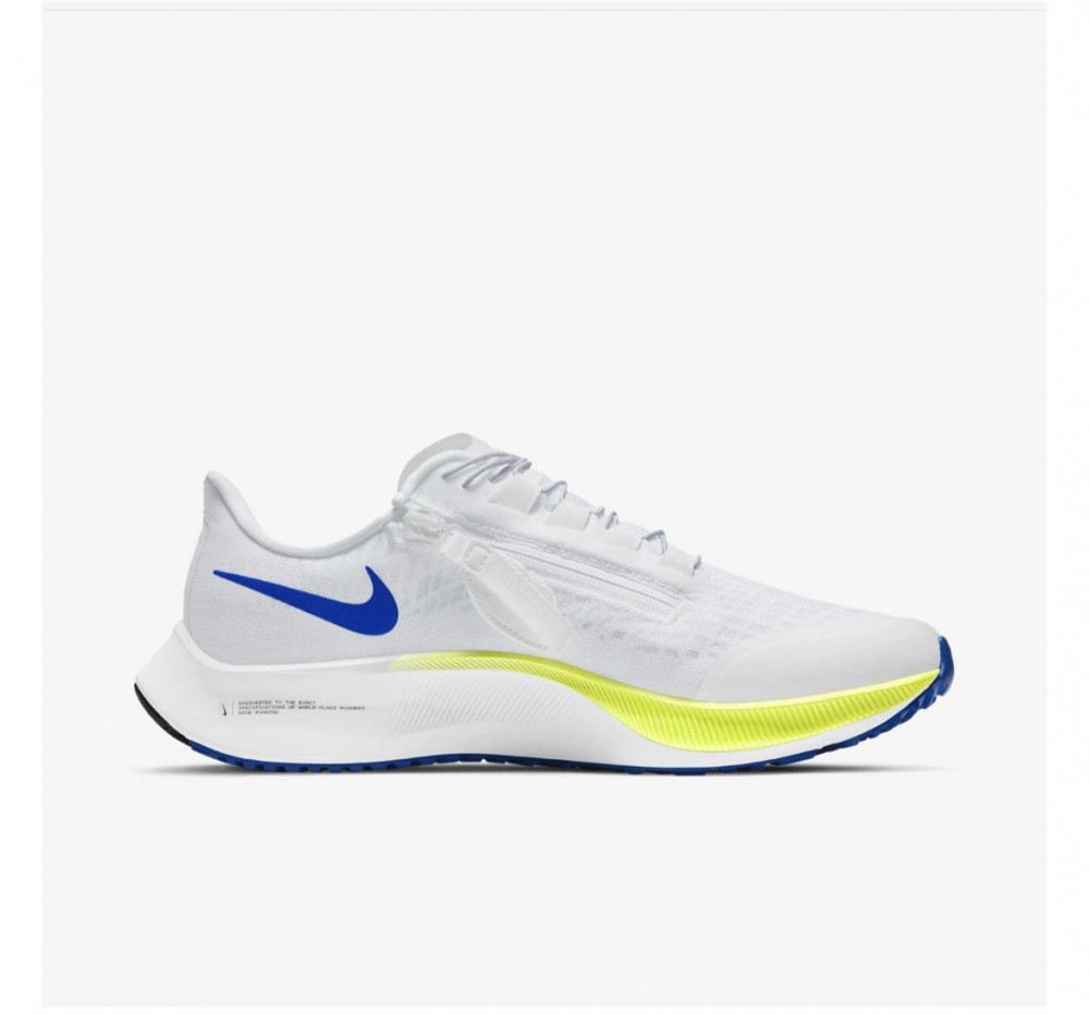 Кроссовки мужские Nike Air Zoom Pegasus 37 Flyease CK8474-102_image_1