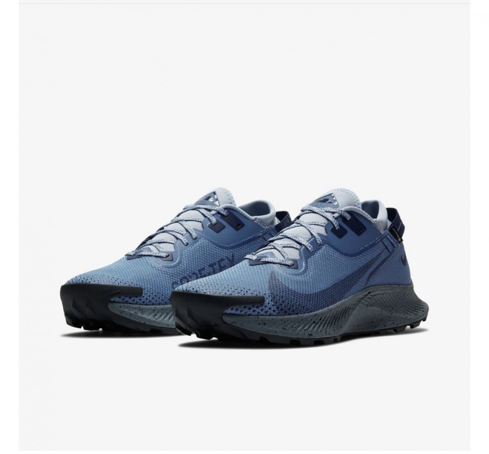 КРОССОВКИ NIKE PEGASUS TRAIL 2 GTX CU2016-400_image_5