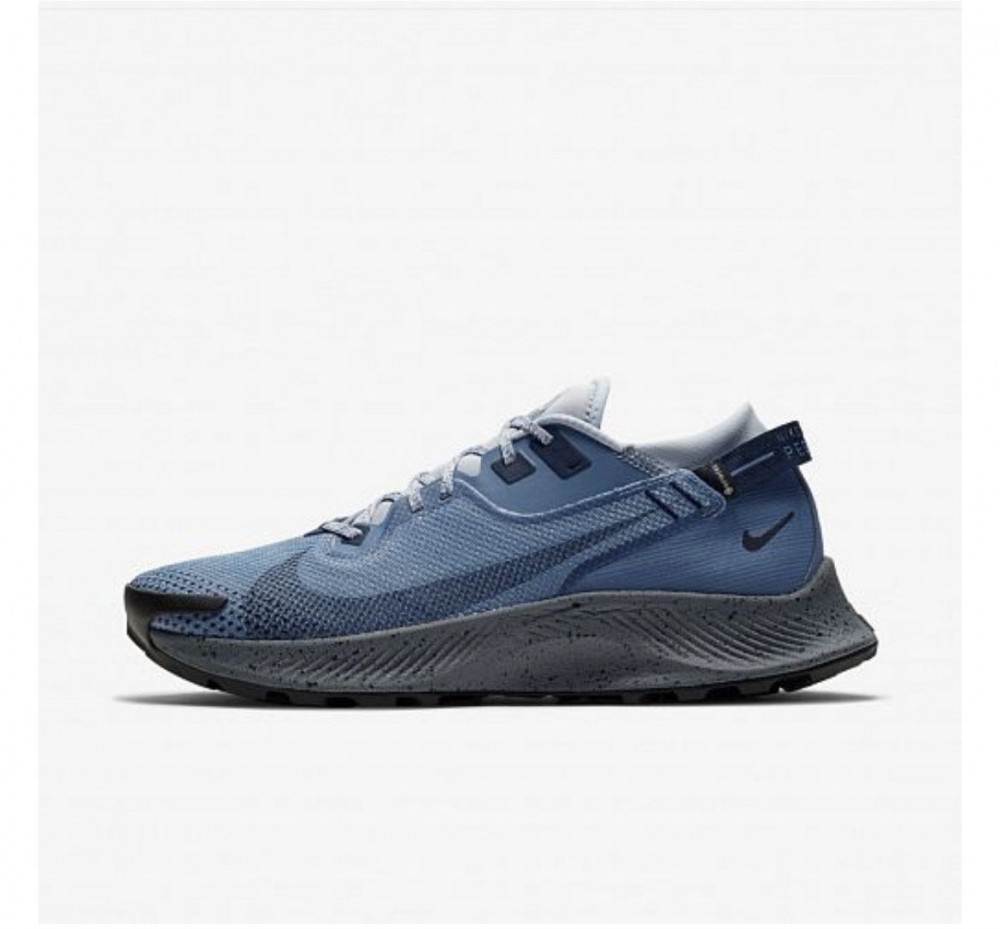 КРОССОВКИ NIKE PEGASUS TRAIL 2 GTX CU2016-400_image_2