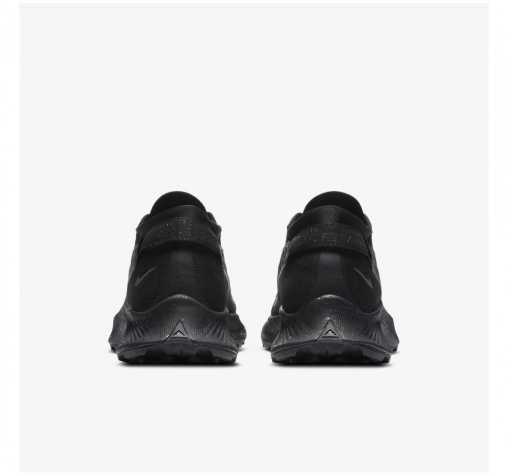 Кросівки NIKE W PEGASUS TRAIL 2 GTX CU2018-001_image_5