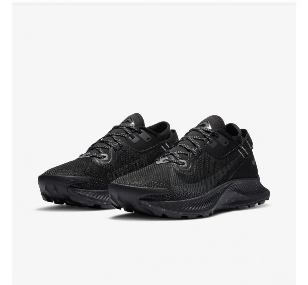 Кросівки NIKE W PEGASUS TRAIL 2 GTX CU2018-001_image_4
