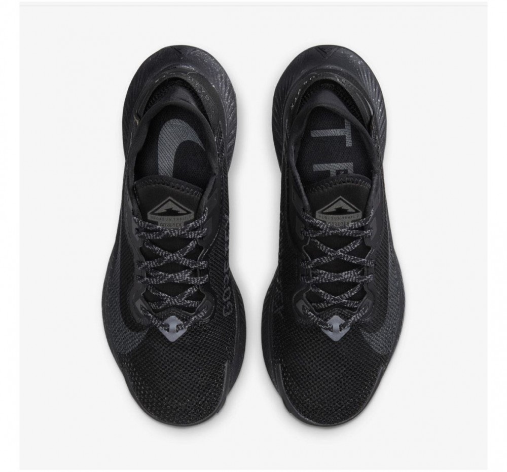 Кросівки NIKE W PEGASUS TRAIL 2 GTX CU2018-001_image_3