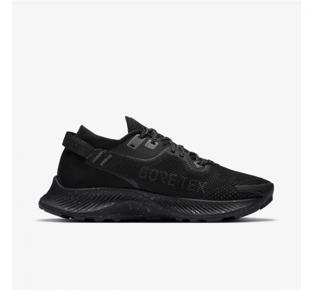Кросівки NIKE W PEGASUS TRAIL 2 GTX CU2018-001_image_1